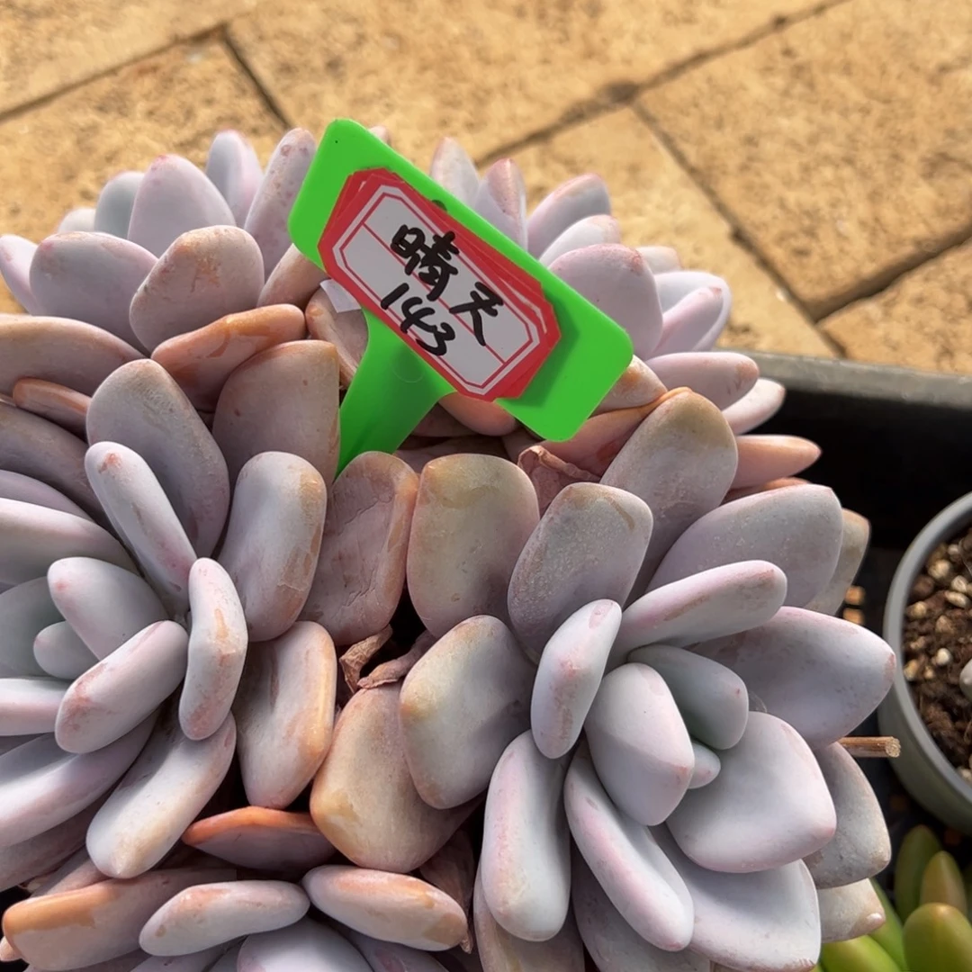 晴***到晴天143。