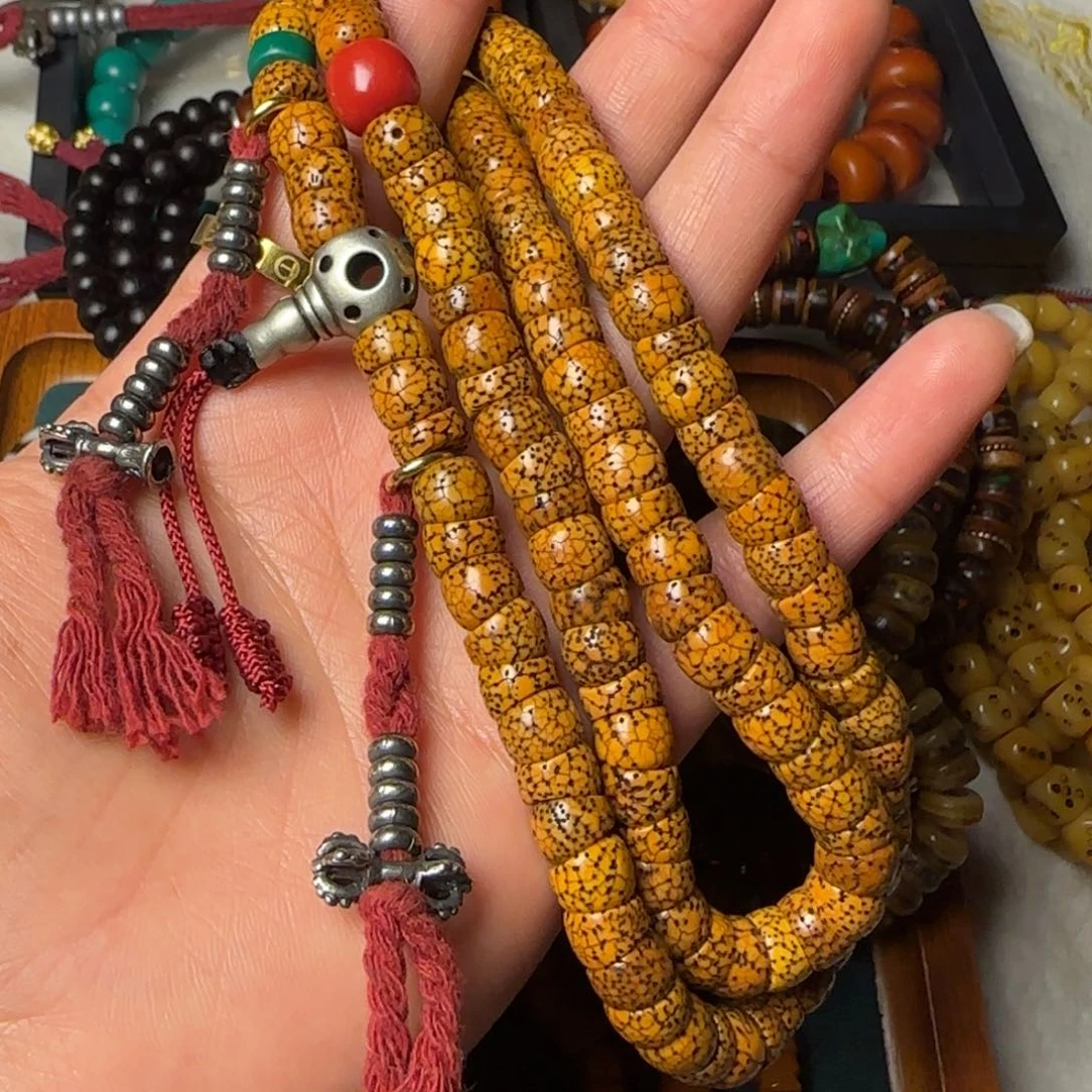 ………………………………………………………………