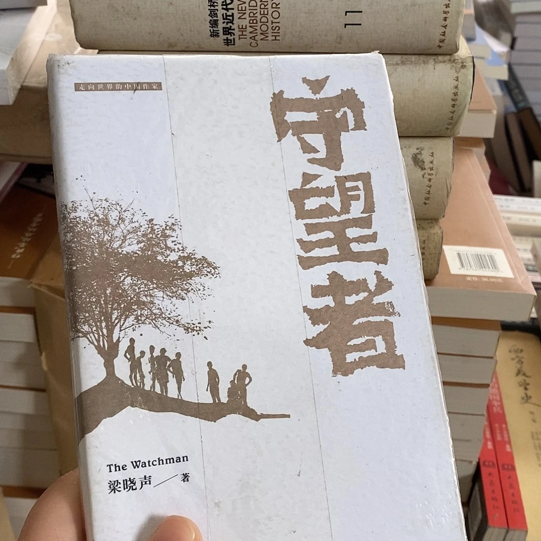 微瑕 梁晓声 守望者