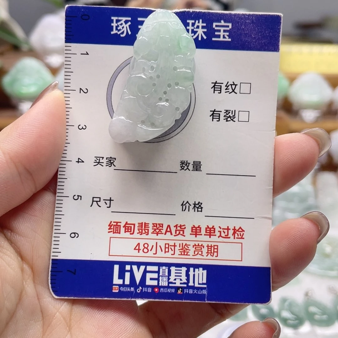 颈饰未镶嵌翡翠貔貅