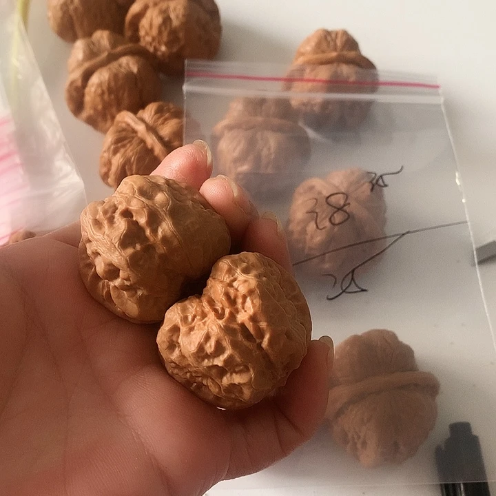 文玩核桃吊坠边38左右