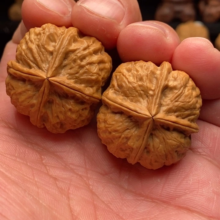 文玩核桃把件2开播福利35尺