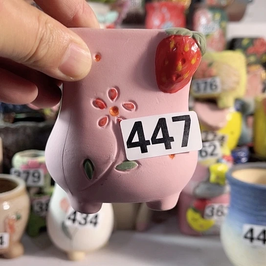 红陶多肉植物花盆