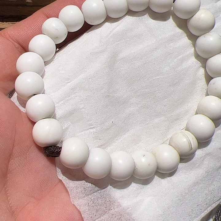 香榧木在这里的时候