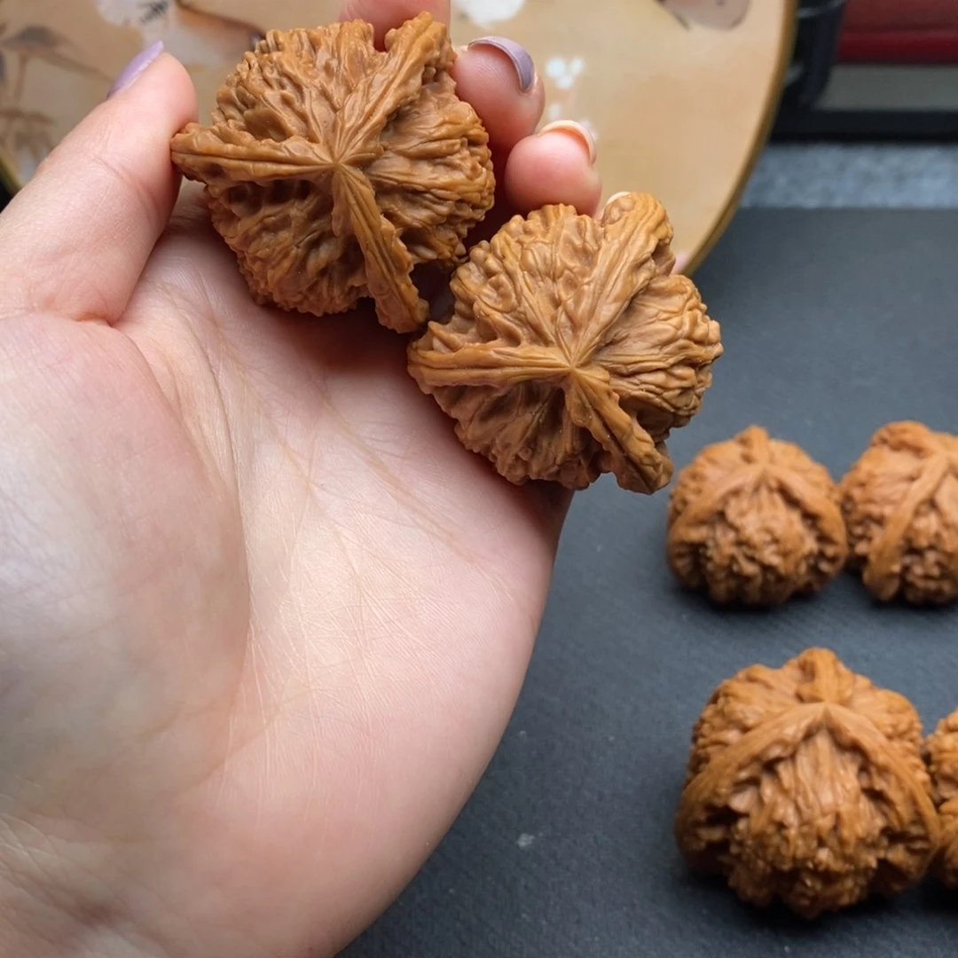 余***你白狮子11111111111