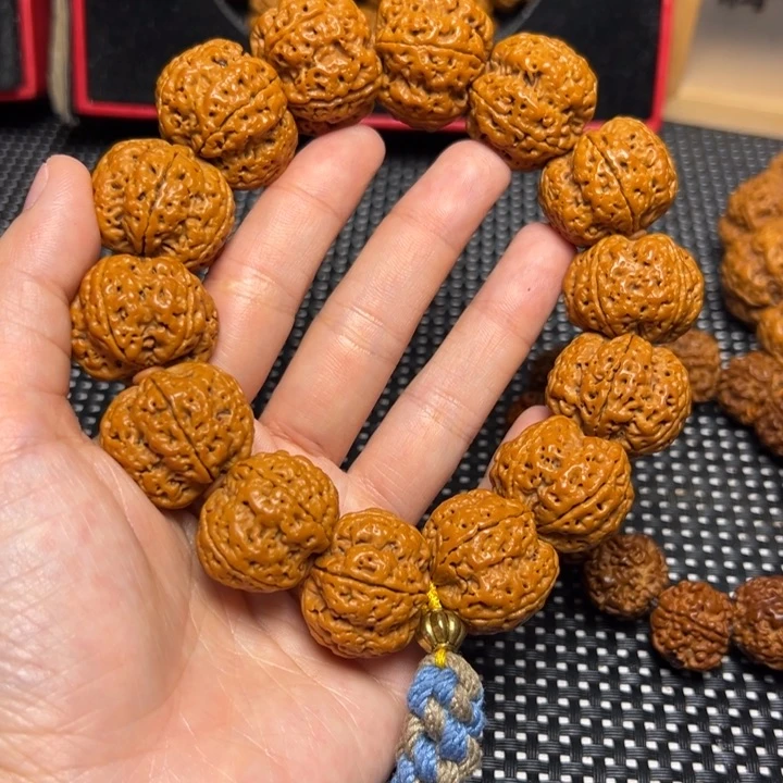 手串金刚菩提飞碟帝王花