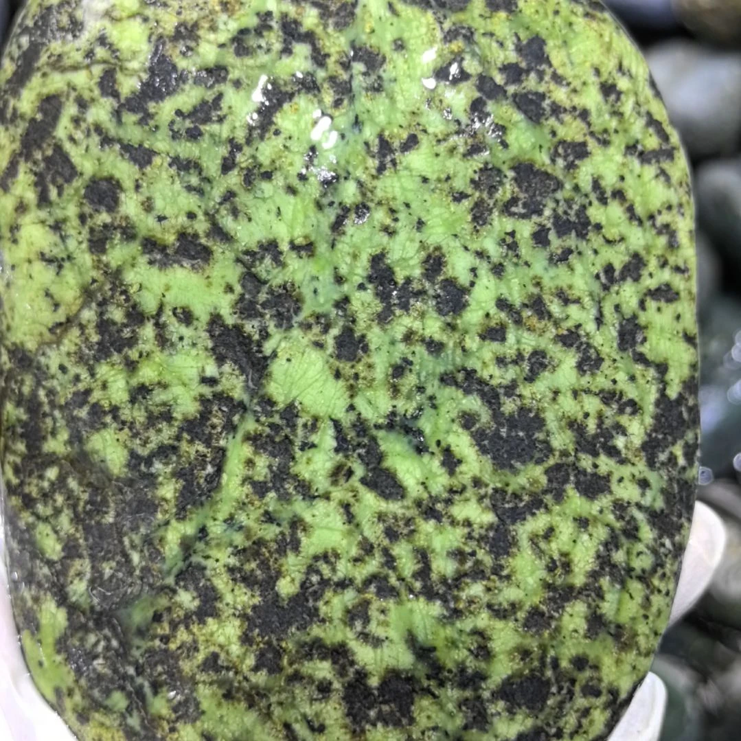 印***鹰藏玉药王石原石一个