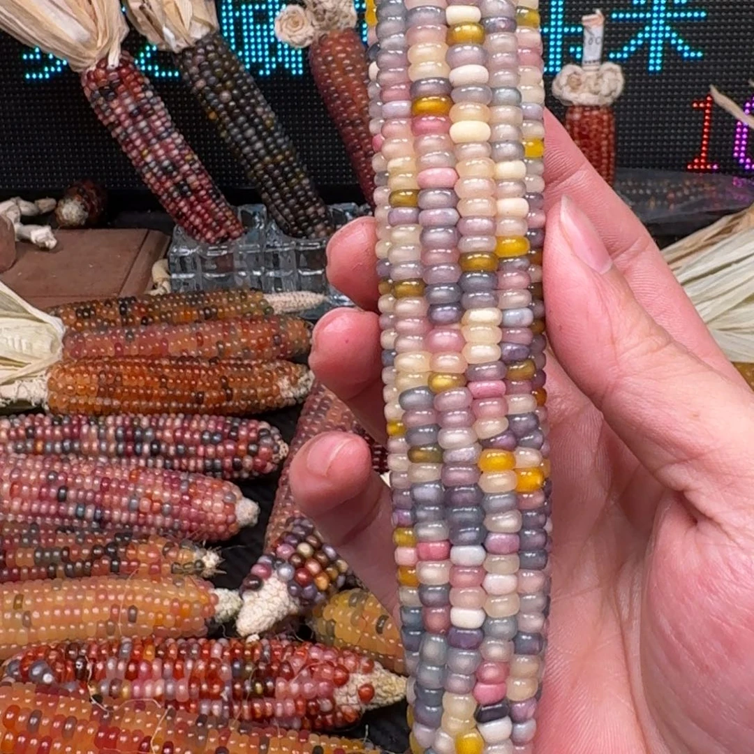 柏香籽/百香籽吊坠叶*