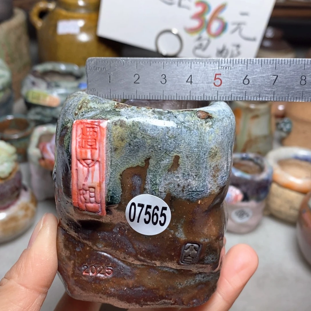 花盆拍3送一个小礼物