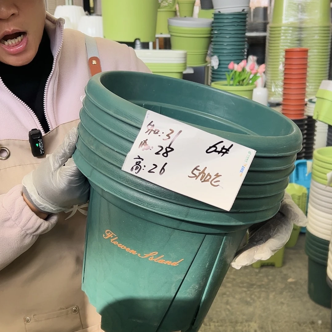 瑕疵青山盆6#墨绿色6个无托