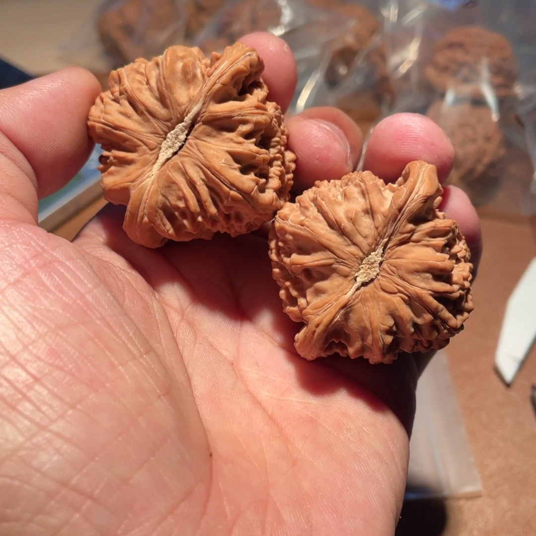 执***笔核桃手串/手链100