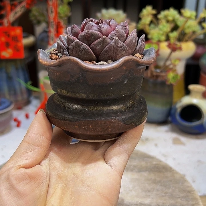 景德镇陶瓷2单包邮