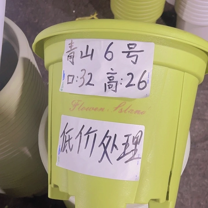 树脂青山6号果绿色4个