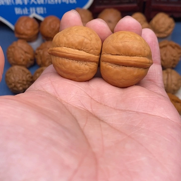 文玩核桃把件小海豚