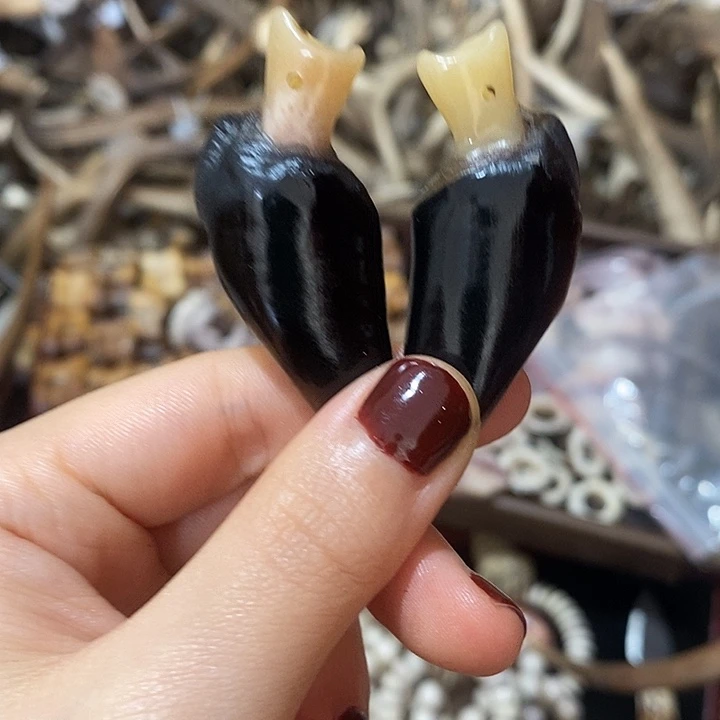 无非金属鹿蹄鹿蹄