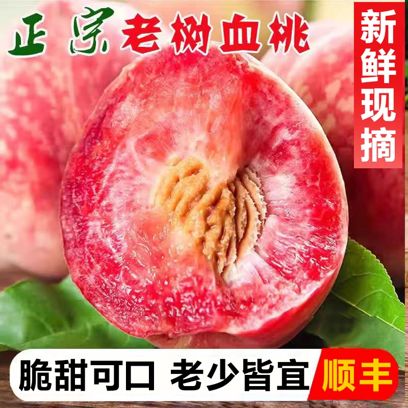 血桃新鲜当季水果红心桃子现摘毛桃整箱老品种脆桃应季湖北水蜜桃