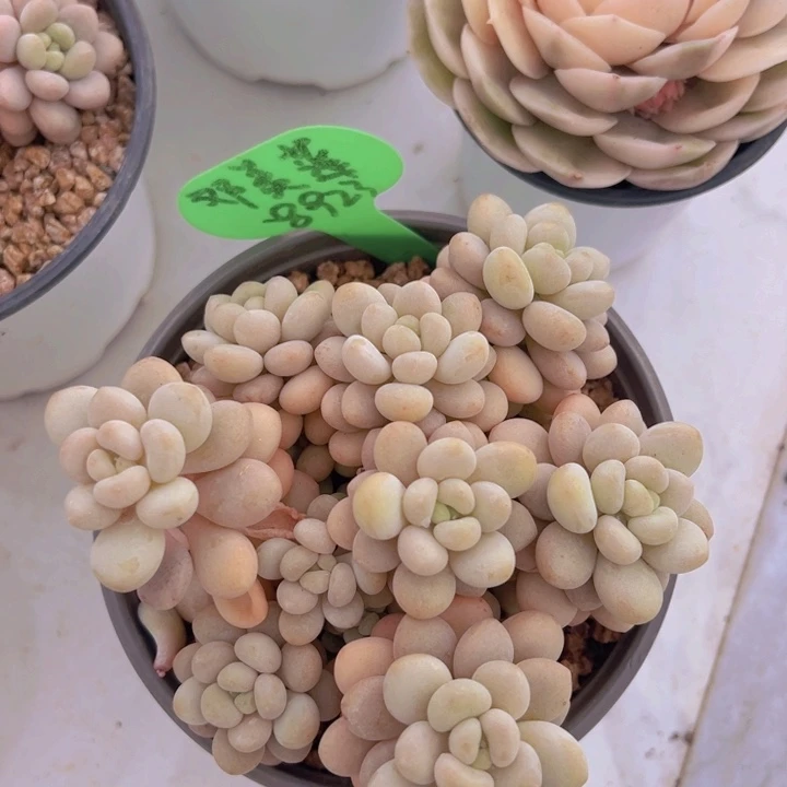 健健康康平平安安