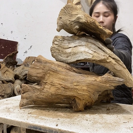 L***O柏木我们都是好孩子