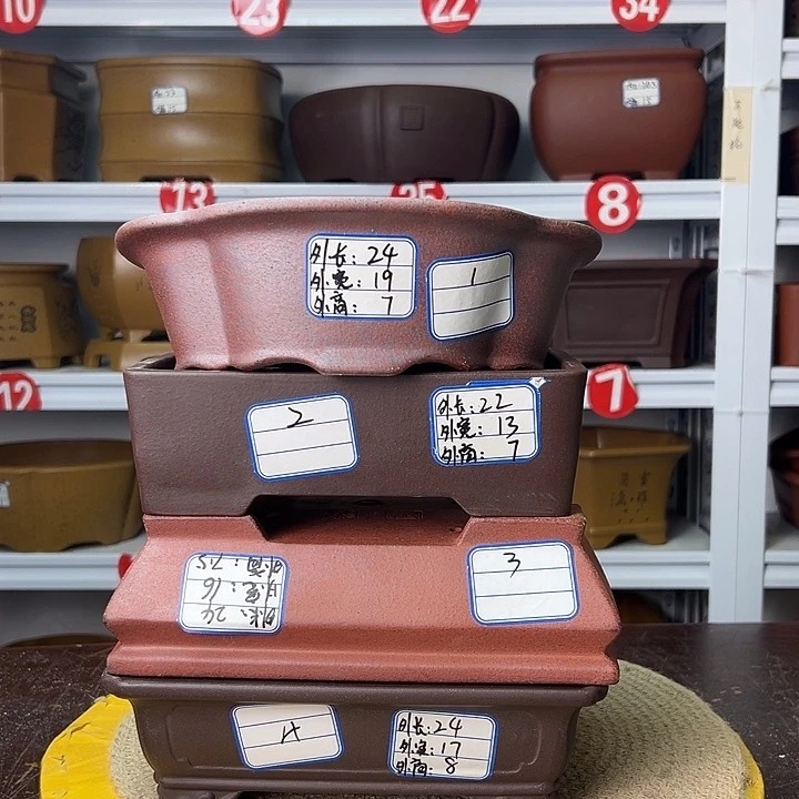 紫砂花盆你在一起