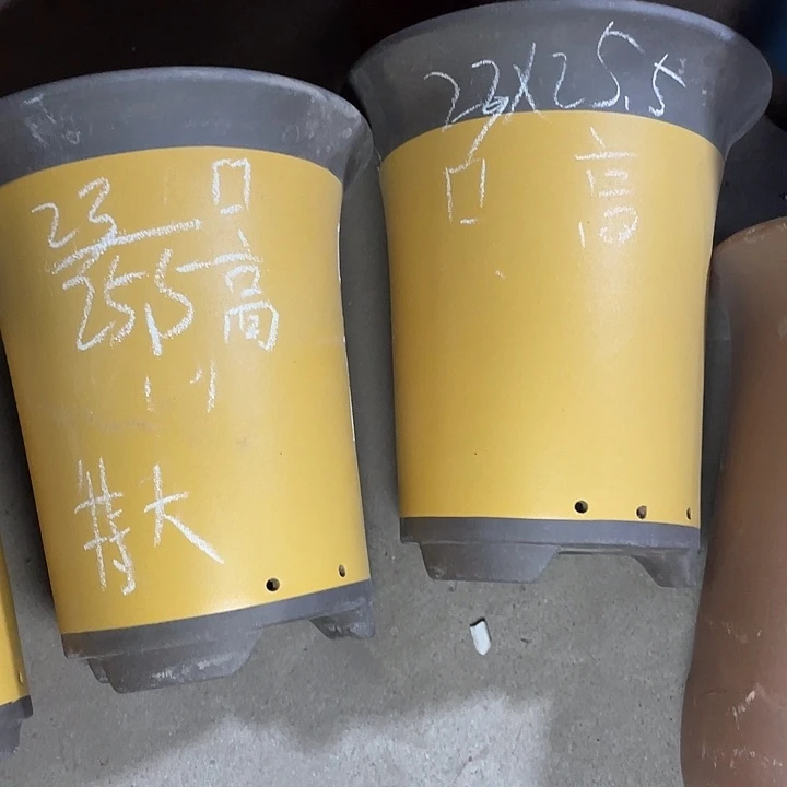 红陶紫砂紫砂紫砂
