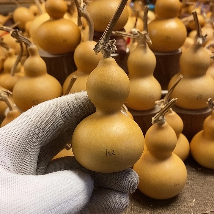 文玩葫芦 完美主义者 慎拍102