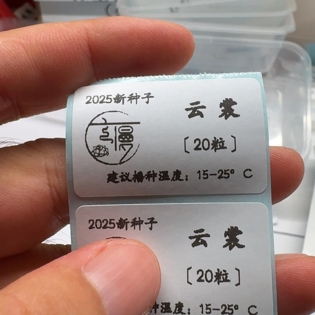 如图2025新种子珍妮系列云裳20粒