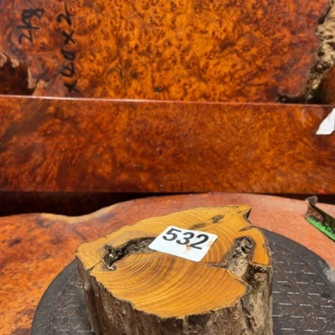 大果紫檀（缅甸花梨）