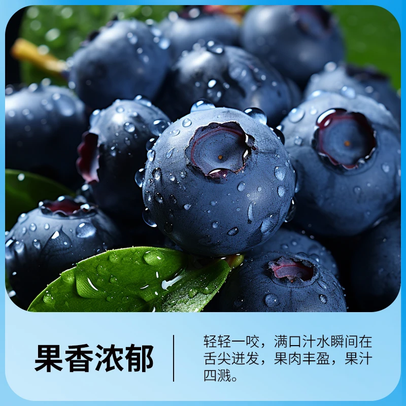 【今天拍明天到】云南高山花香蓝莓 新鲜采摘 脆甜爆汁19-22mm 半斤/1斤装云南蓝莓云南省丽江市