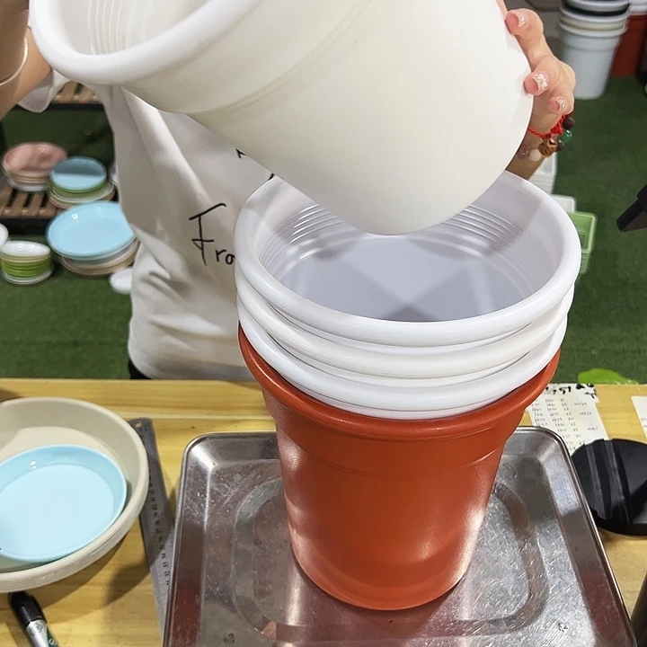 特价翻边口21高22混色无托5只
