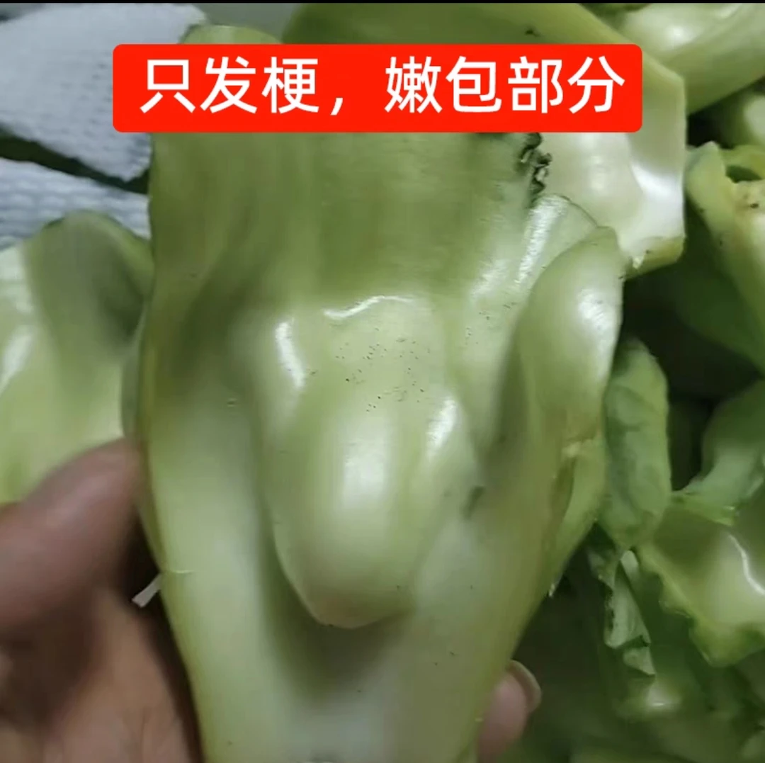 新鲜无茎青菜四川奶奶菜广安青菜梗现采包包菜农家脆菜做泡菜芥菜