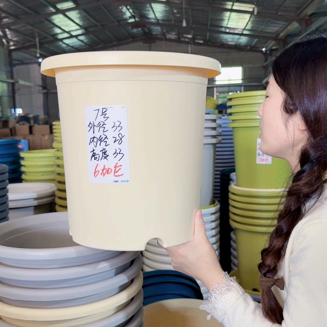 微瑕7#无拖米黄3个