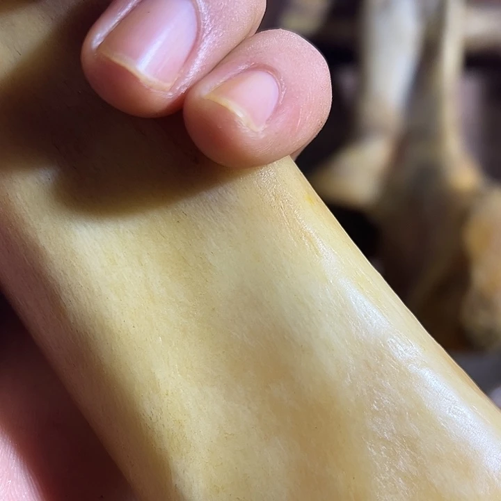 阳***光yyhu整根前腿前腿