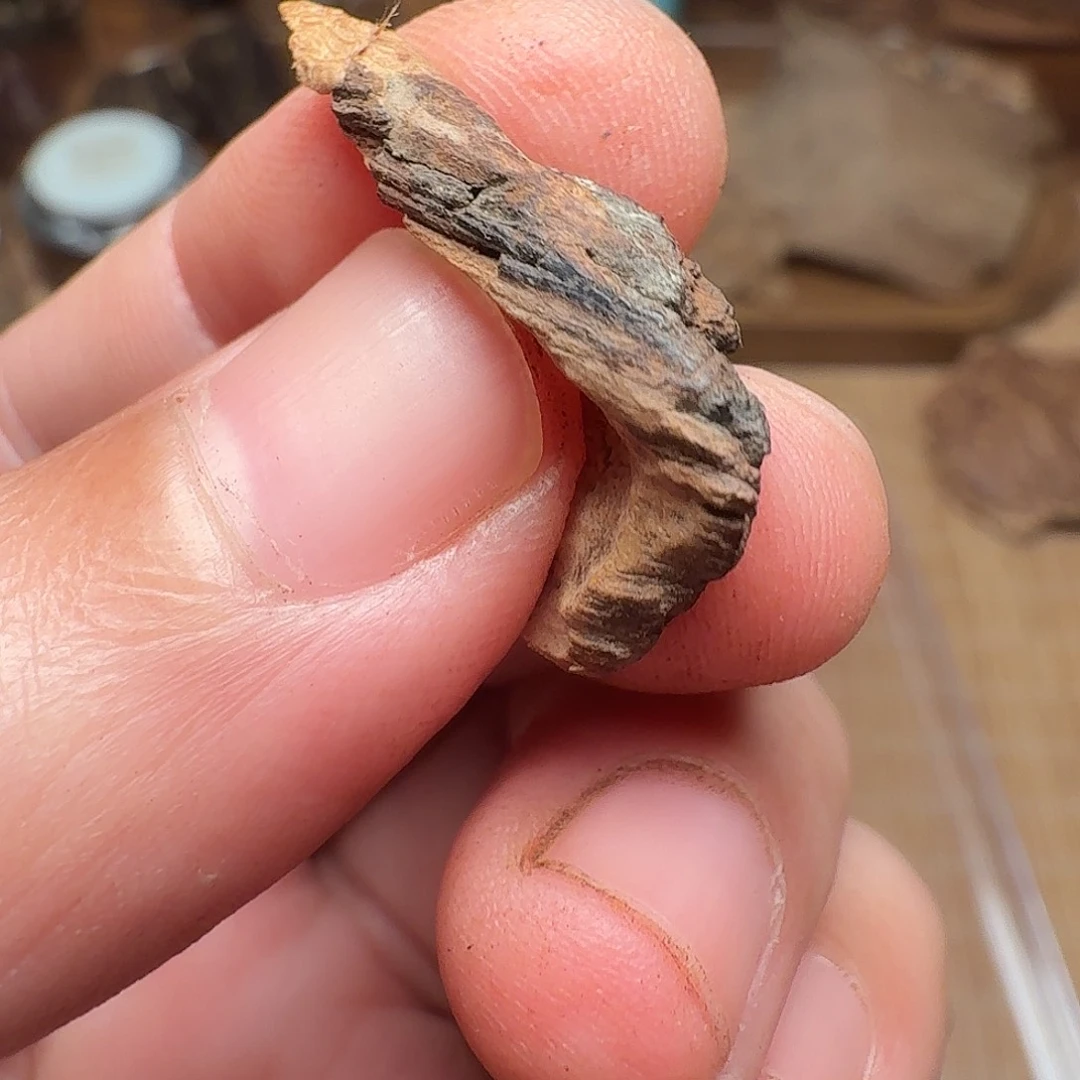 沉香海南老房梁0.52g