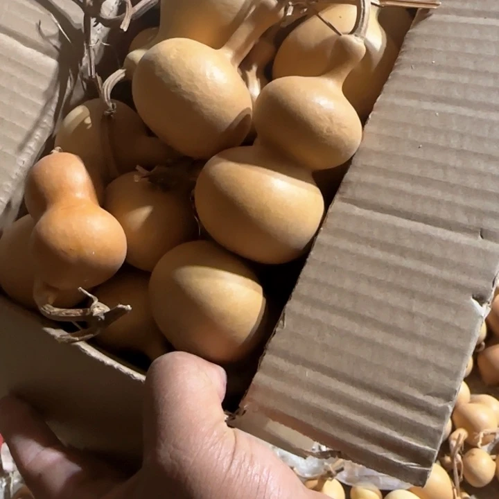 葫芦处理葫芦画皮葫芦