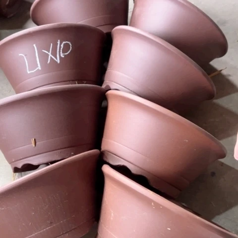 100-8。         21-10