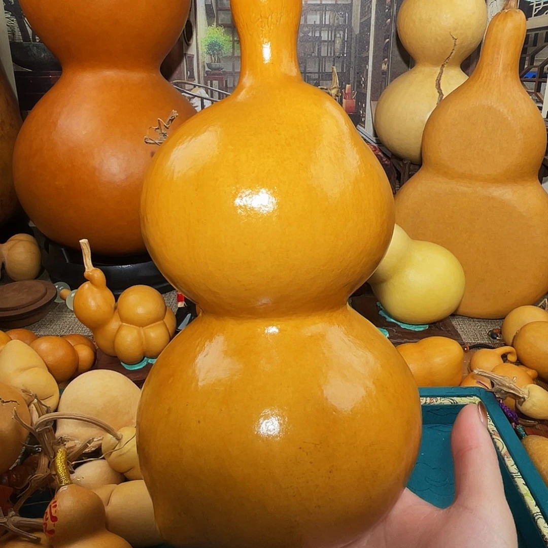 ↘葫芦呀呀呀呀呀呀呀呀呀呀