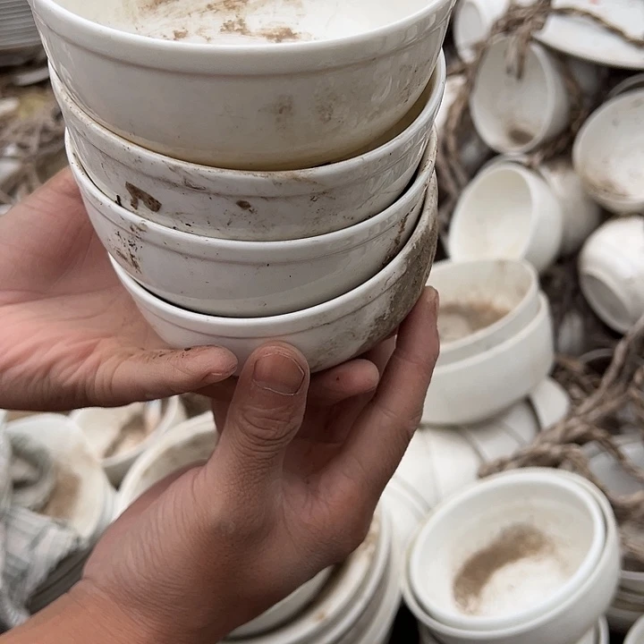 瓷闪购商品粗瓷细瓷盘