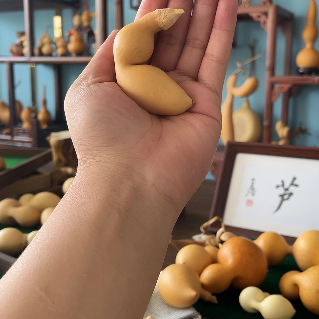 木江*涛哈哈哈哈哈哈哈哈