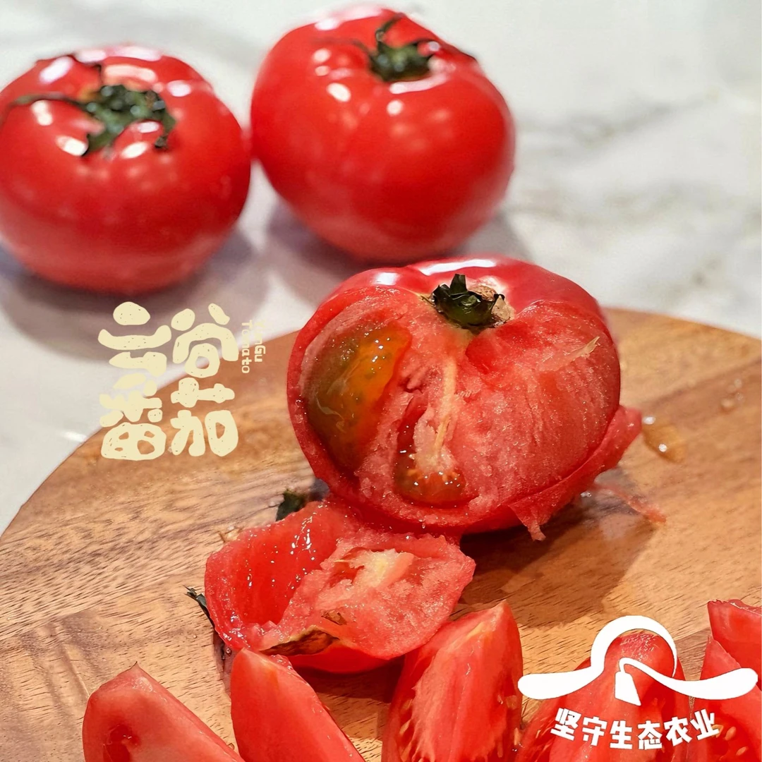 云谷番茄——顺丰包邮到家！攀枝花粉如意.0催红素果肉沙瓤细腻爽口！