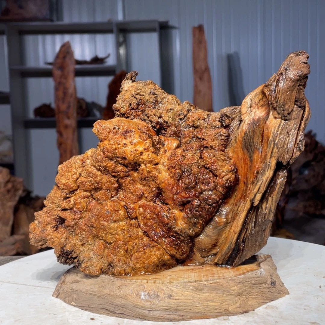 用***2木猛子琥珀木摆件1