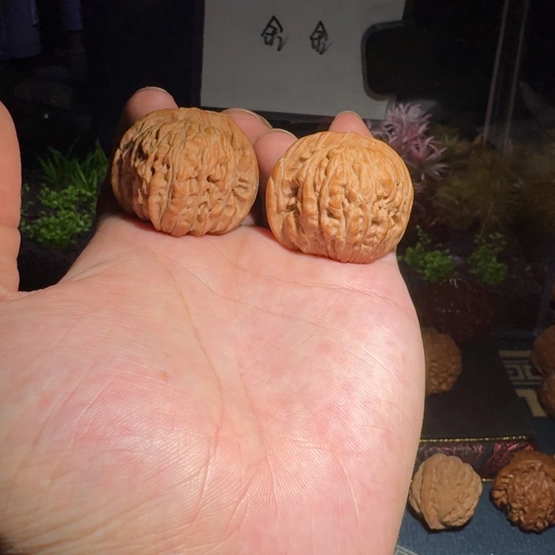 核桃把件1728平谷楼文玩核桃尺寸38