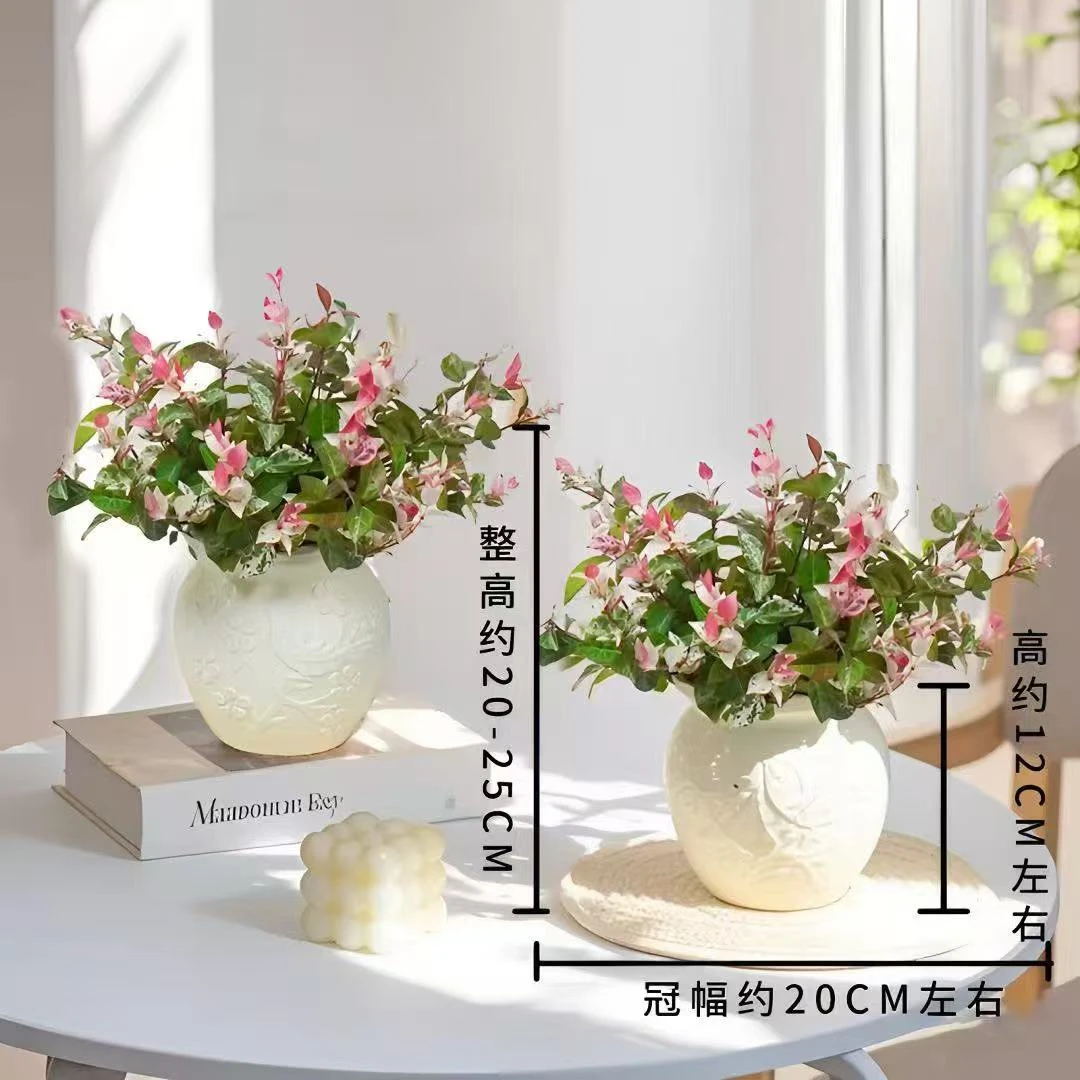 精品花叶络石盆栽四季五彩花卉耐热耐寒适合阳台办公室桌面