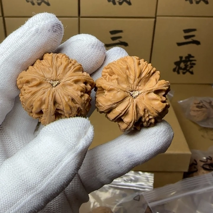 文玩核桃吊坠鑫36御龙三棱