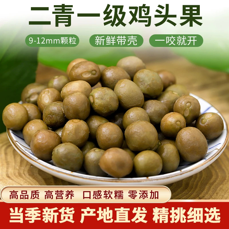 当季天长特产新货新鲜带壳鸡头果二青一级芡实大颗粒鸡头米茨实果