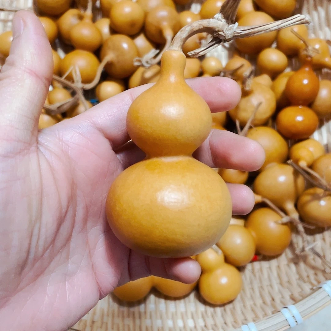 北***魚葫芦笙和一首新诗作了比较