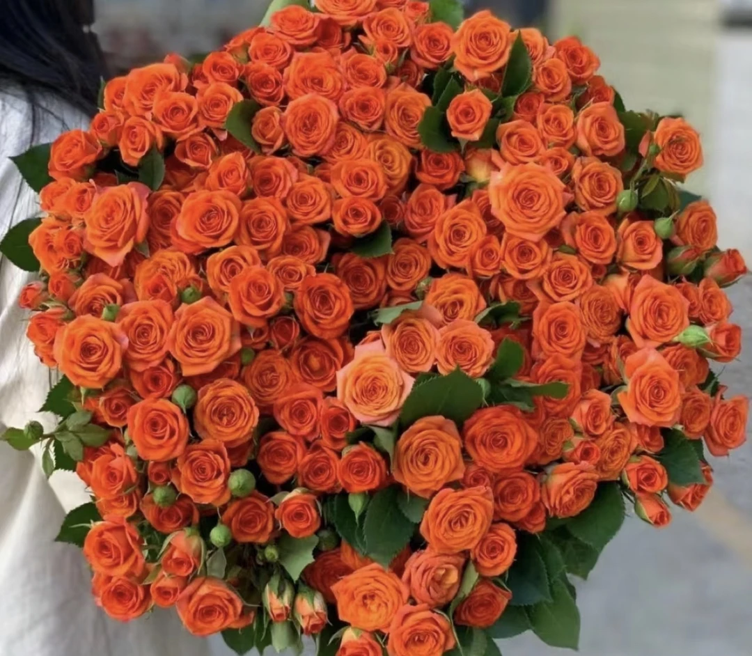 多头橙色芭比玫瑰8支+2支 防损    鲜花任意两单包邮