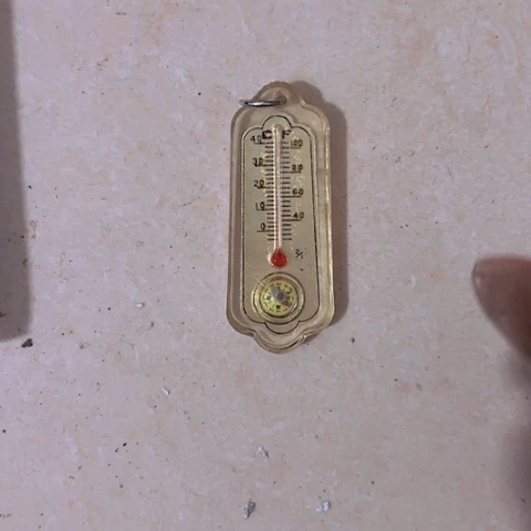 香榧木一***埃Fhgghvhhvhvchv