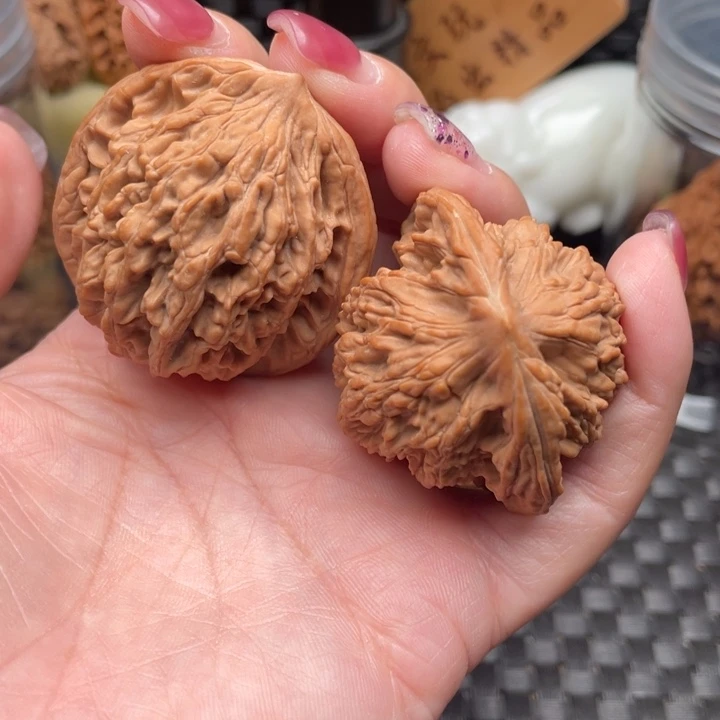 新***来43尺精品虎头，打好底发货