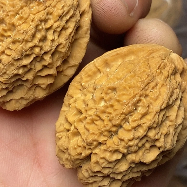 文玩核桃把件云南铁核桃6