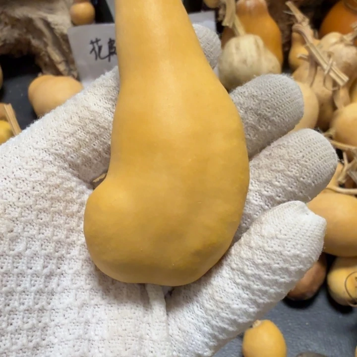 W***L67777677778888888999